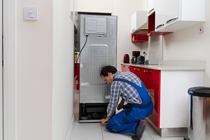 Refrigerator repair in Nuevo